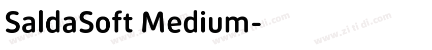 SaldaSoft Medium字体转换